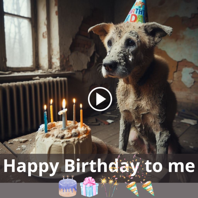 A Birthday Meditation: The Isolated Battle of an Ill Dog