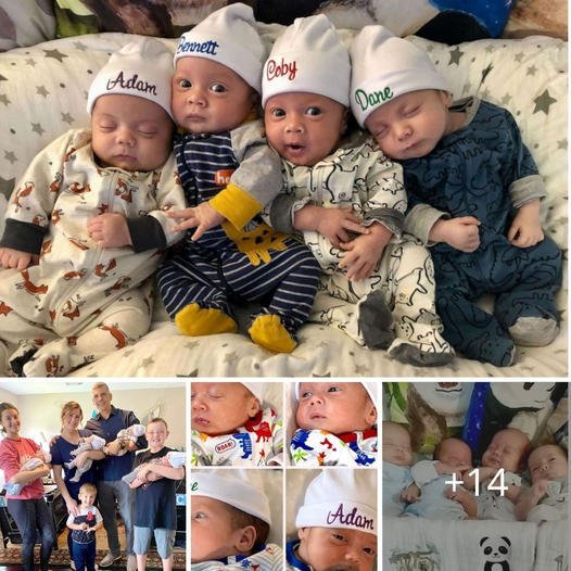 Enthralling Journey of a Lone Star Family: Welcoming Quadruplets with Summer’s Radiance!