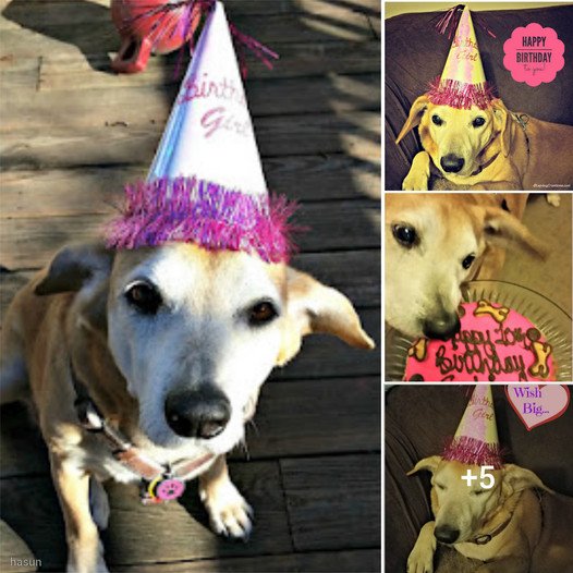 Sophie’s 11th Birthday Extravaganza!