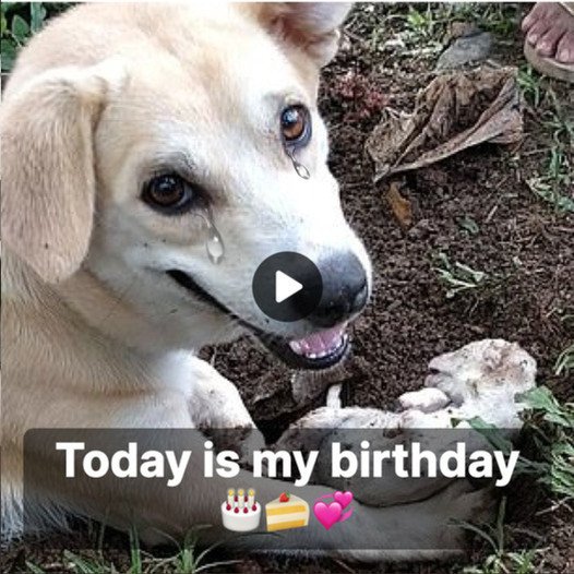 A Mother’s Tale of Loss: Bella’s Heartache on Her Birthday