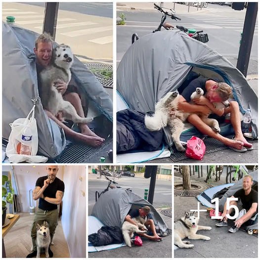 A Heartwarming Tale: A Rescued Dog Brings Joy and Companionship to a Man on the Streets