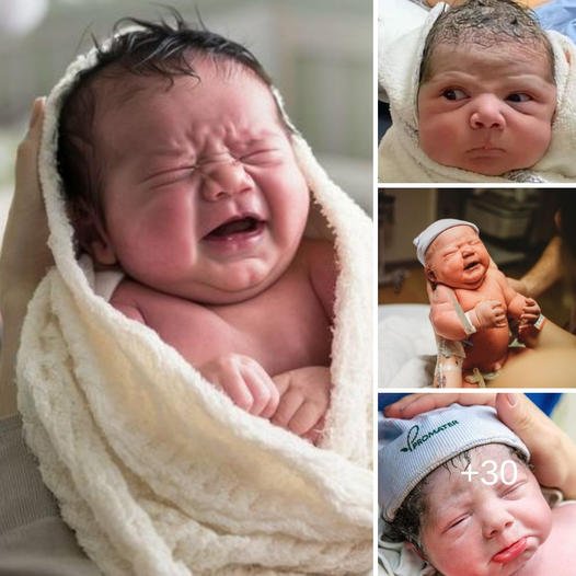 Immortalizing the Hilariously Adorable First Moments of a Newborn’s Arrival, Sparking Laughter and Joy in Parents’ Hearts