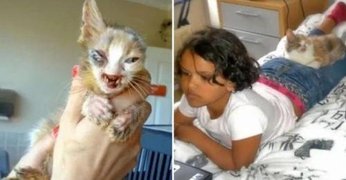 Heart of Gold: How a Seven-Year-Old Girl Rescued a ‘Too Ugly’ Kitten and Changed Both Their Lives