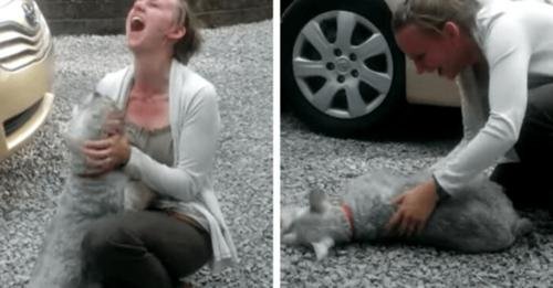Long-Lost Dog Reunited with Owner and Passes Out from Excitement!