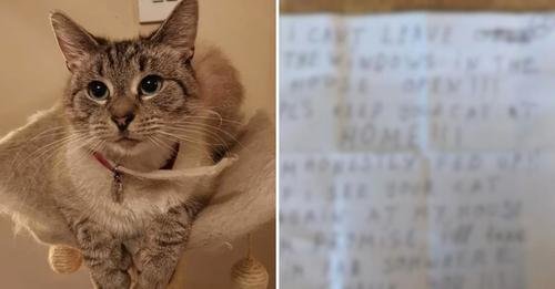 Man Shocked as Cat Comes Home with a Threatening Three-Page Note Attached to His Collar