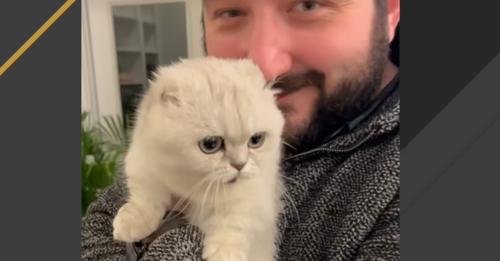 Boston Man’s Heart Won Over by a Resilient Cat Named Mochi