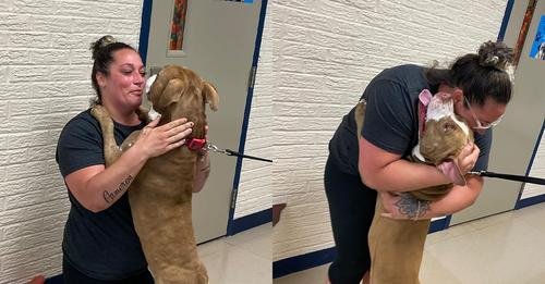 Woman Reunites with Her Emotional Support Dog After Two Years: “Tears of Joy Everywhere”