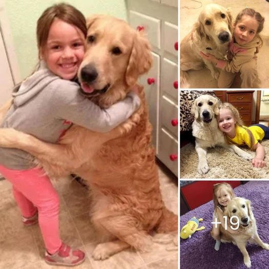 The Dog’s Tearful Embrace with His Young Owner After 300 Days Apart Captivates the World