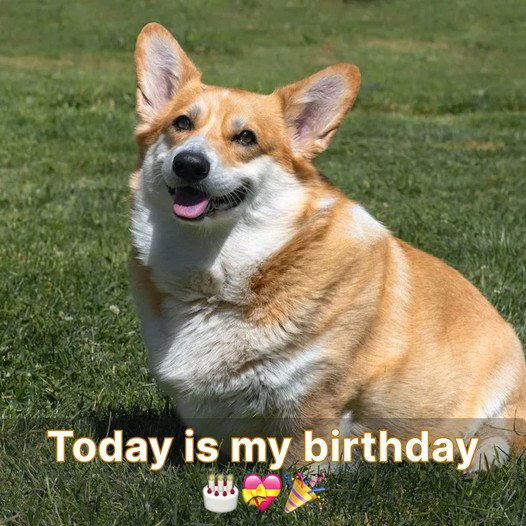 Today is My Birthday, but It Feels Like Nobody Remembers, and I Don’t Know How to Bring It Up